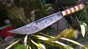 Cấu Tạo Của Dao Mèo